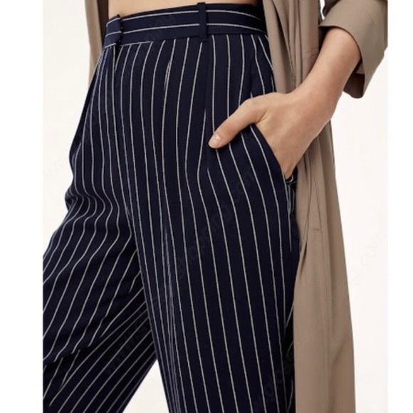 Babaton (Aritzia) “Modesto” Trouser - Picture 2 of 5